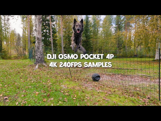 DJI Osmo Pocket 4P | 4K 240fps Slowmotion samples