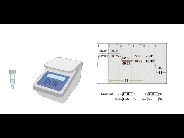 Gradient PCR | Principle