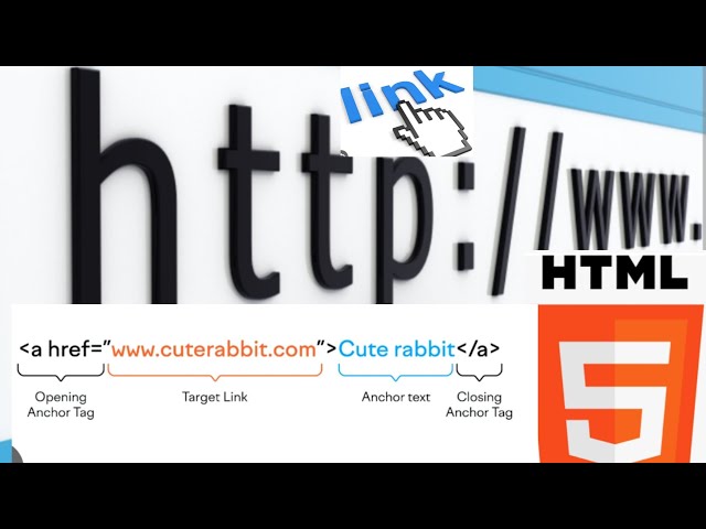 External Hyperlink in HTML| Using Notepad ++ to Create Links 