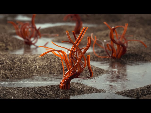 MICRO CELLS Octane Render Tutorial 2K