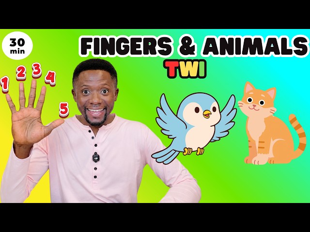 Learn Fingers & Animals in Twi + Singing & Fun | Uncle Dan Kids