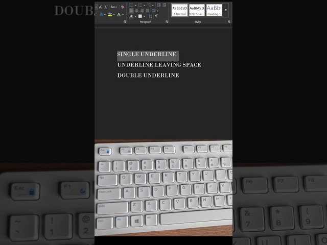 Single underline,underline leaving space,double underline.#fyp#computer #skills #microsoftword