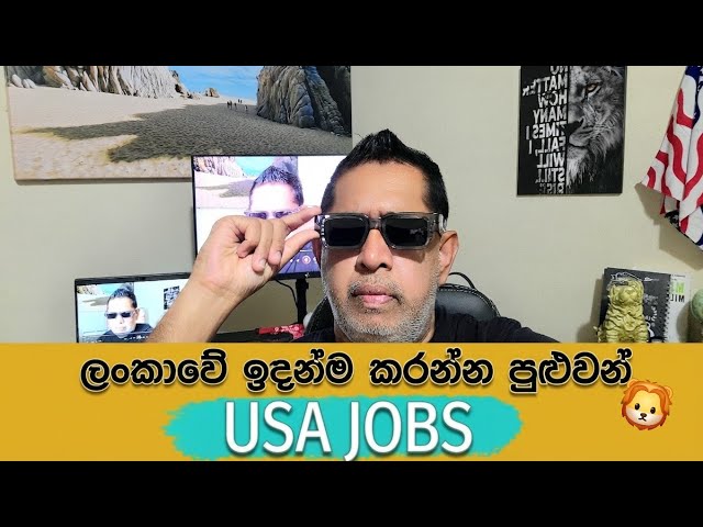 Work from Home WORLDWIDE with this company ALWAYS HIRING Remote | ගෙදර ඉඳන් කරන්න පුළුවන් JOBS