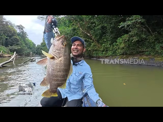 Menaklukkan Perlawanan Predator Air Tawar | MANCING MANIA STRIKE BACK (01/08/26) P3