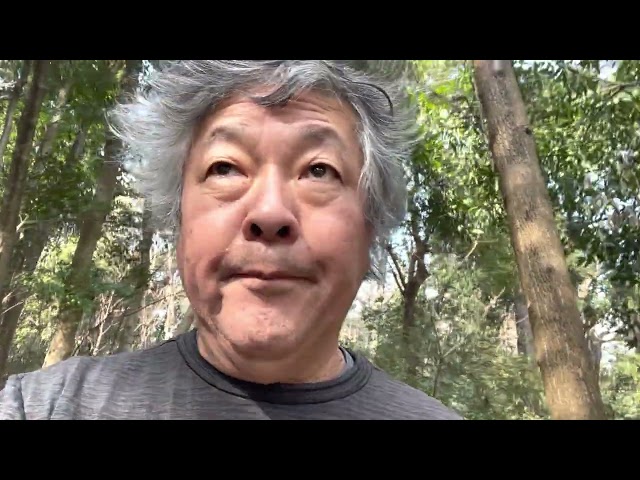 Do computers actually compute?