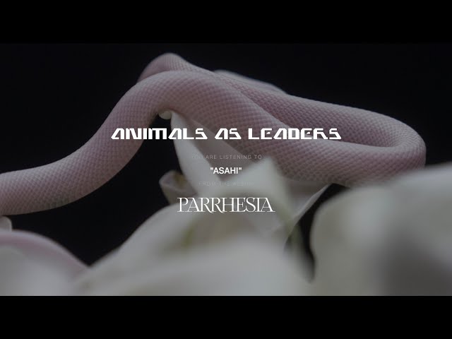 Animals As Leaders - Asahi