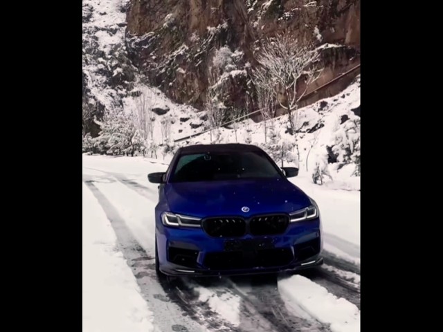 What are the BEST Python Libraries for DATA SCIENCE?#humor #europe #dhoni #song #yummy #explore