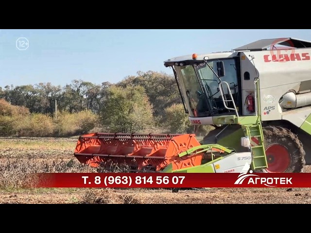 🌱🚜 Эксперимент на уссурийских полях — рапс убирают в Пуциловке