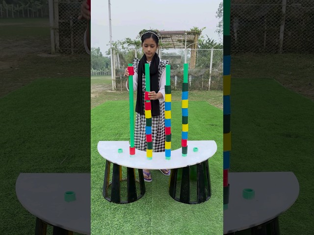 color sorting challenge ??