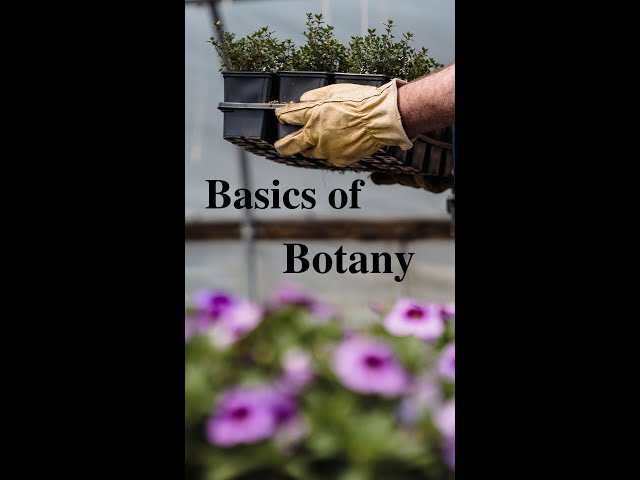 Basic Concepts of Botany : An Introduction to Plant Biology