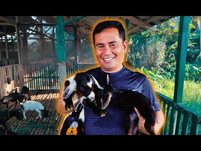 Want to Succeed in Farming? Start with PHD! | Feeding Our Goats