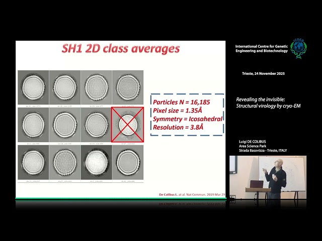 L. De Colibus - Revealing the invisible: Structural virology by cryo-EM