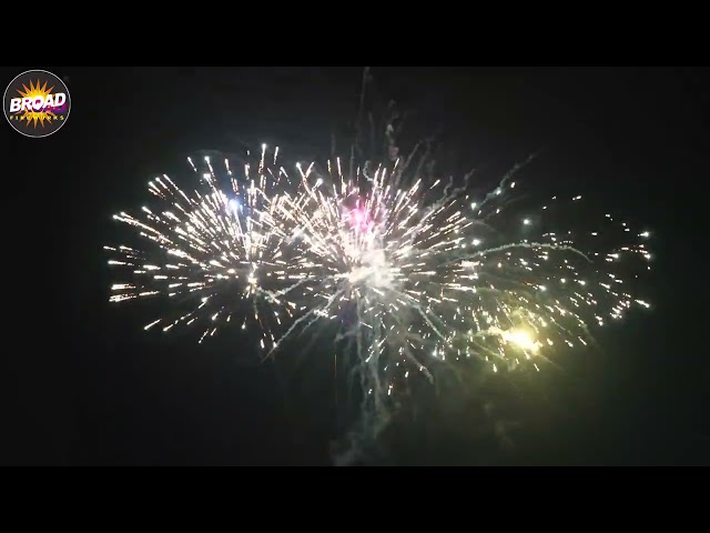 2025 NEW BM4925-1-25 25*30*175MM 49SHOTS MIX SHAPE F3 CAKE