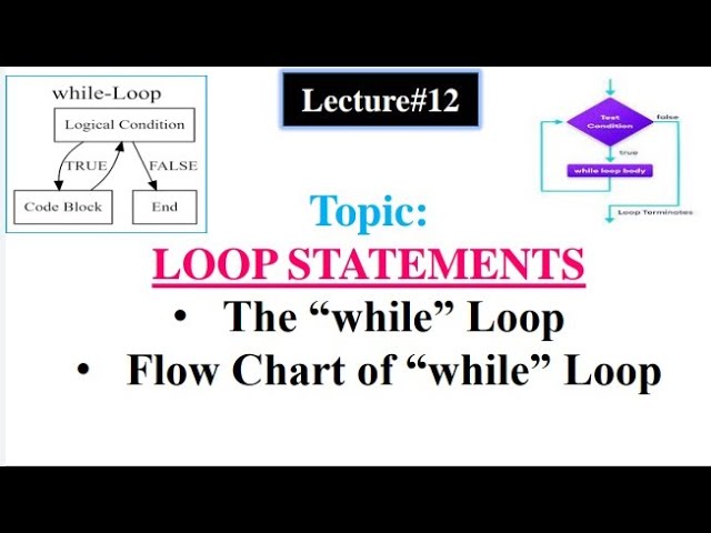 Loop Statements | The "while" loop | flow chart of "while" loop in Urdu/Hindi