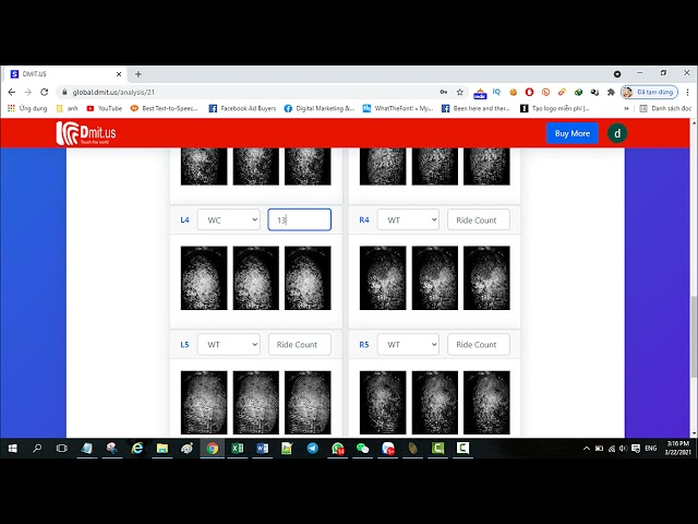How to use dmit software | Dmit | Dmit test