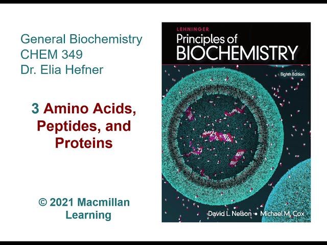 Chapter 3 - Amino Acids, Peptides, and Proteins