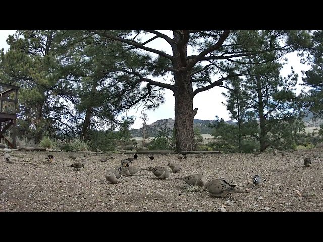 Nature's Window episode 5