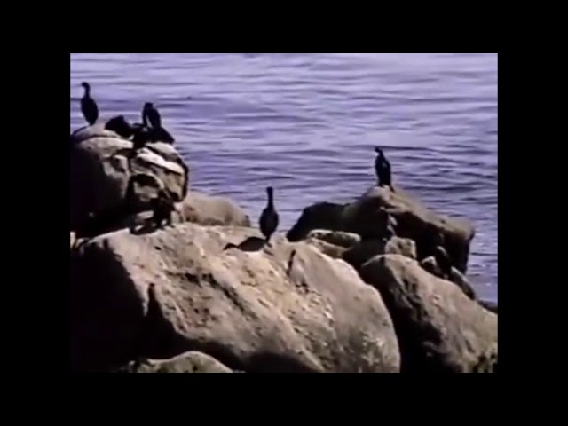 COMPUTER DATA - alright