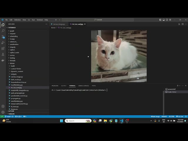 How to Display an Image on the Tkinter Canvas