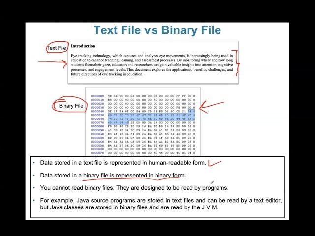 Binary I:O