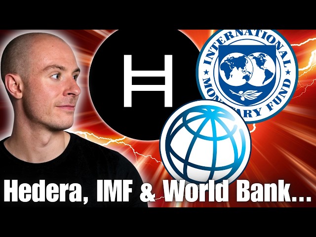 Hedera Hashgraph HBAR At The IMF - World Bank Week... Hedera Is Miles Ahead!!!