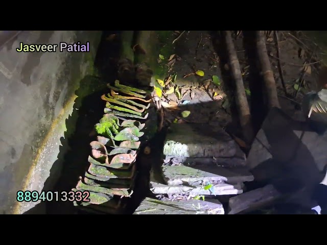 Cobra Found Inside Village House 😱 | #india #himachal #viral #funny