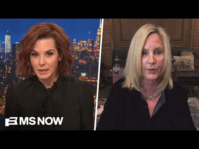 Erin Brockovich on  data centers: 'People aren't being heard'