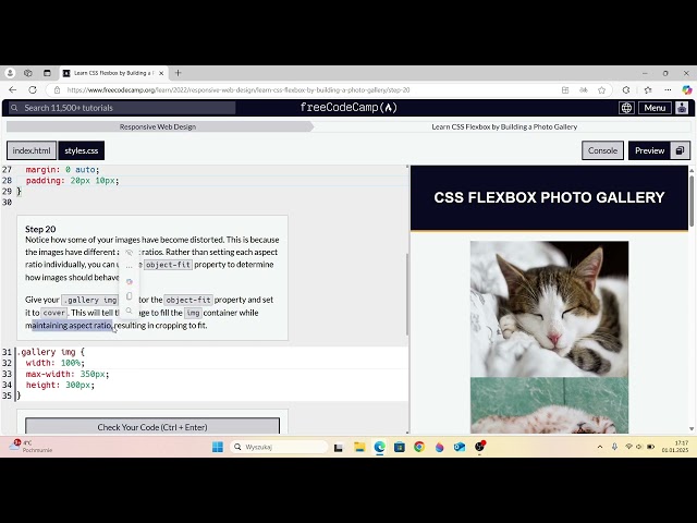 Freecodecamp - Responsive Web Design, learn css flexbox by building a photo gallery, step-20
