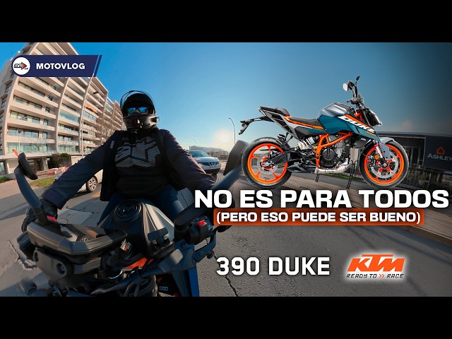 Are you sure this is what you're looking for? 🧐 KTM Duke 390 | Review