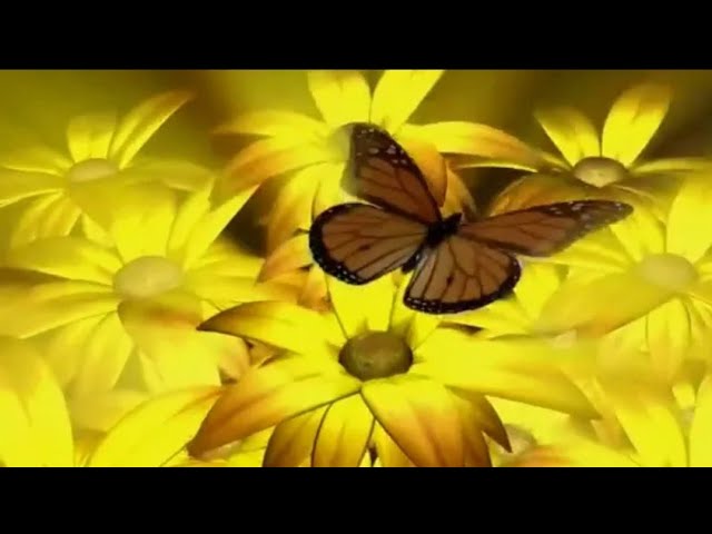 Top 10 Intro Background 3D Flower Video Templates || No Text || No Copyright || Free Download