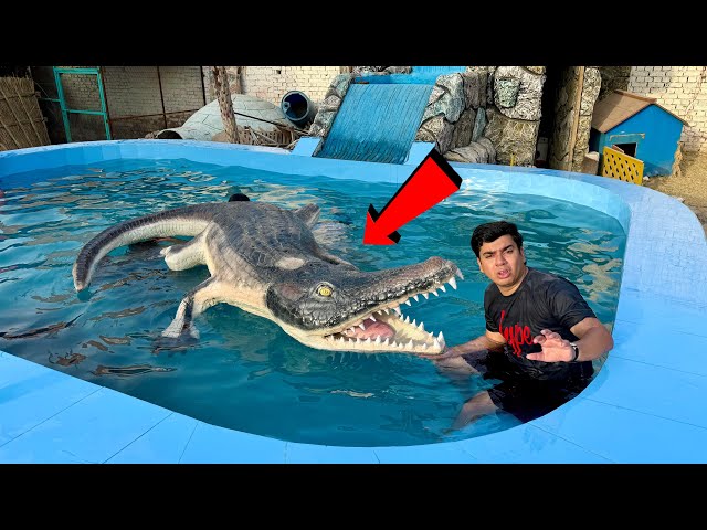 Pool Mein Crocodile Ly Aiy 😱