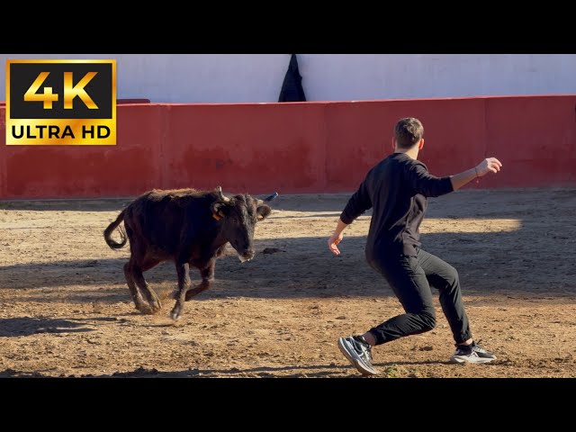 ¡Capea divertida en la Espuela! (Alcora - 2026)