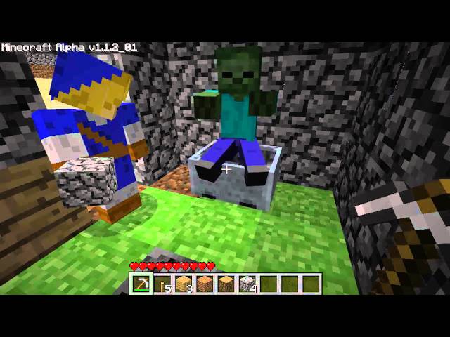Minecraft Multiplayer Fun
