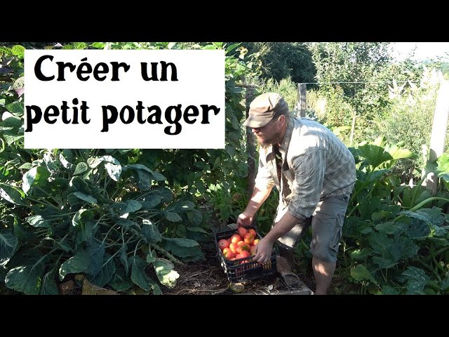 A Small Productive Vegetable Garden on 20m²