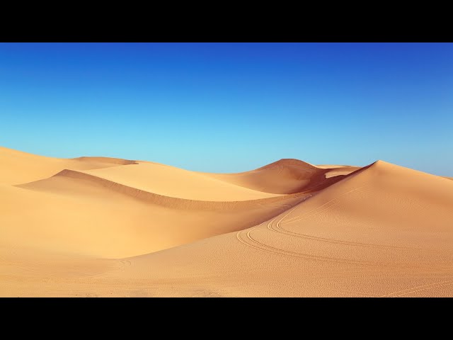 Biomas terrestres, parte 1: selva tropical, desierto, pradera y matorral.