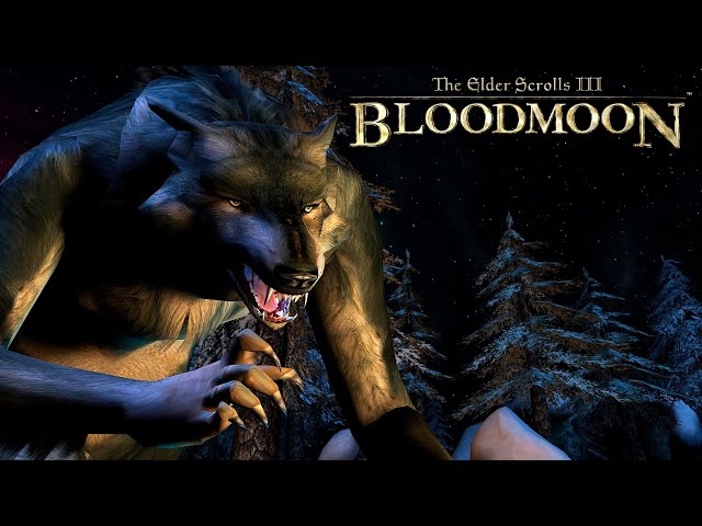 EXPLORANDO LA ISLA DE SOLSTHEIM - The Elder Scrolls III: Bloodmoon #2