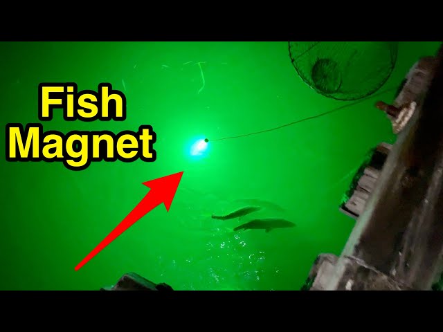 Night fishing with LED light - tips & tricks.
