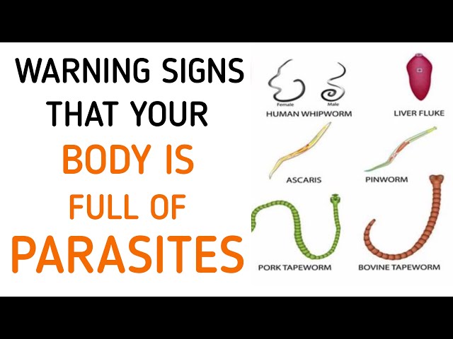 Don't Ignore These Early Symptoms Of Parasites In Your Body