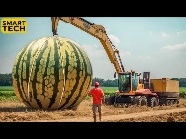 45 Most Satisfying Agriculture Machines and Ingenious Tools ▶ 74