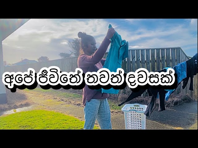Life in New Zealand | Day in the life🦋#lifeinnewzealand #dayinthelife #sinhala