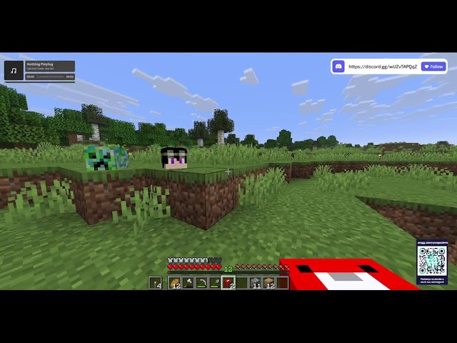 Jogando Minecraft