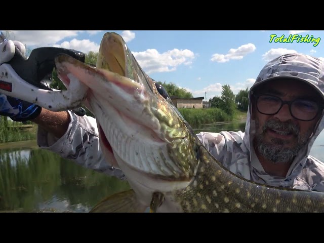 Topwater frog fishing for pike