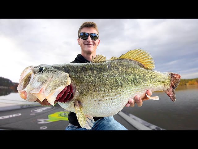 Once in a Lifetime DOUBLE DIGIT Bass - SCALE NEEDED (Lake Fishing)