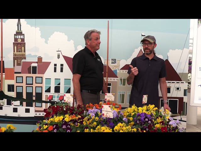 California Spring Trials 2026: Syngenta