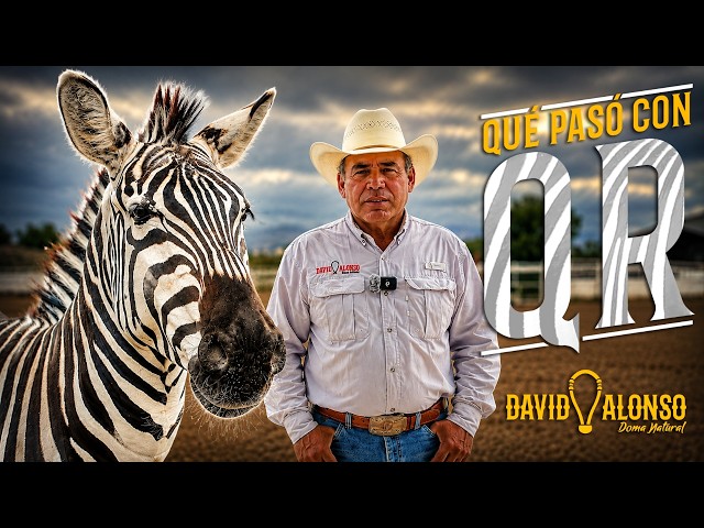 El Siguiente Paso con la Cebra QR