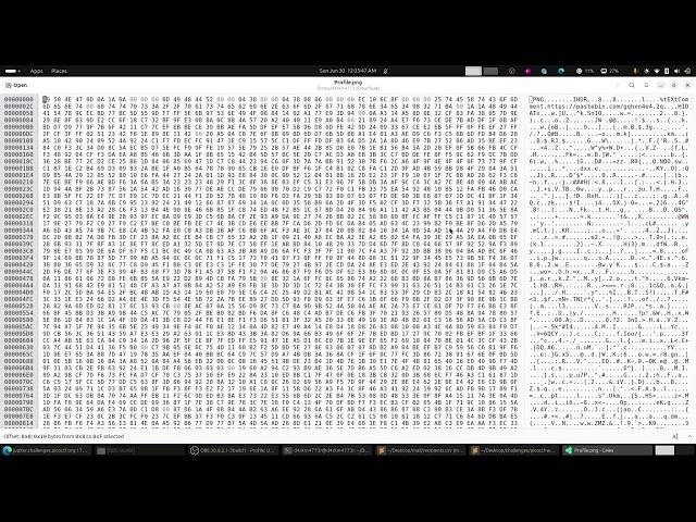 Java Script Kiddie 1-2
