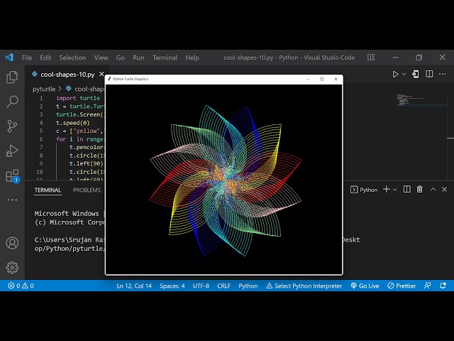 Python Turtle Graphics - 17 | Cool Shape Drawing | Python Turtle Coding Video |