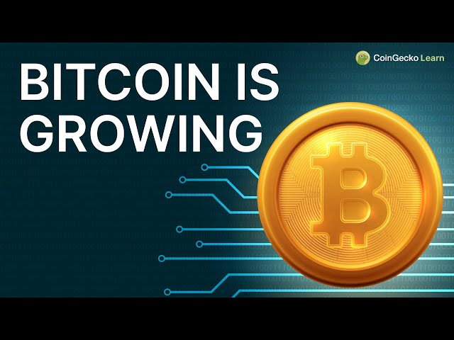 What Is Bitcoin DeFi? Beginner's Guide To BTC DeFi Ecosystem!