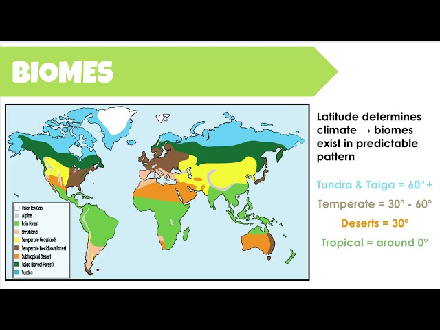 Biomes