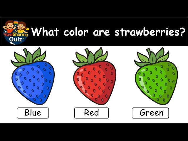 GK Quiz for Kids 🧠 | Guess the Right Answer | Easy General Knowledge Questions @YuviSharmaQuiz_tv25 